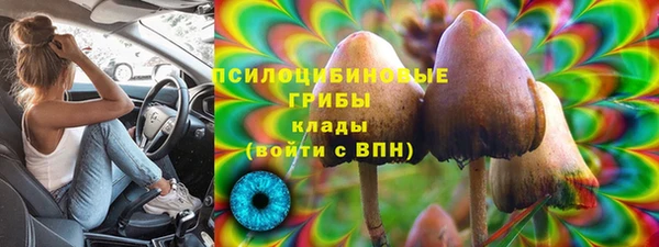гидропоника Алексин