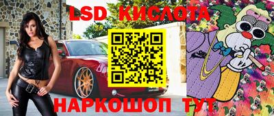 крисы Краснодар