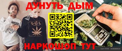 крисы Краснодар