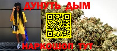 крисы Краснодар