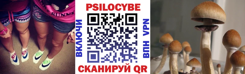 Галлюциногенные грибы MAGIC MUSHROOMS  Сыктывкар 