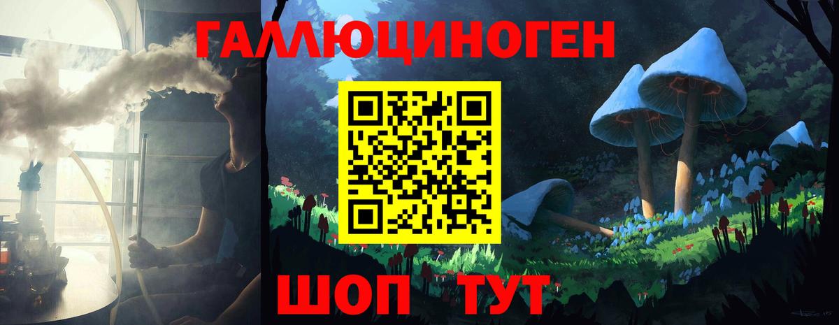 Галлюциногенные грибы Psilocybe Сыктывкар
